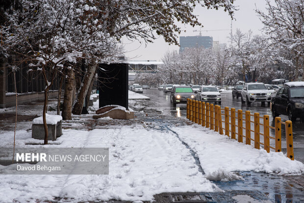 سفیدپوش شدن مشهد در آستانه یلدا