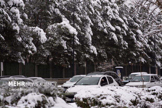 سفیدپوش شدن مشهد در آستانه یلدا