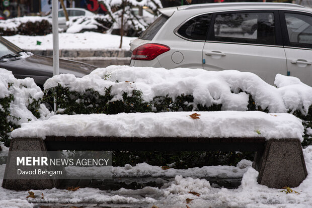 سفیدپوش شدن مشهد در آستانه یلدا