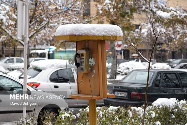 سفیدپوش شدن مشهد در آستانه یلدا