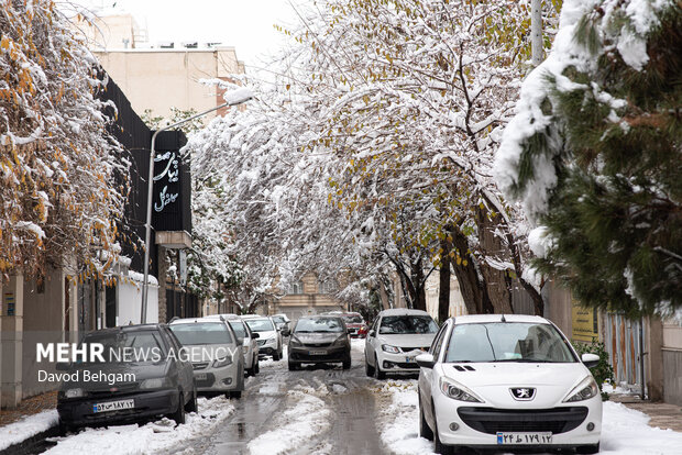 سفیدپوش شدن مشهد در آستانه یلدا