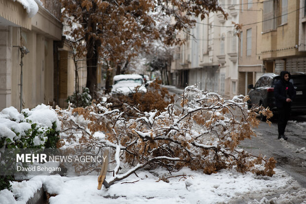 سفیدپوش شدن مشهد در آستانه یلدا
