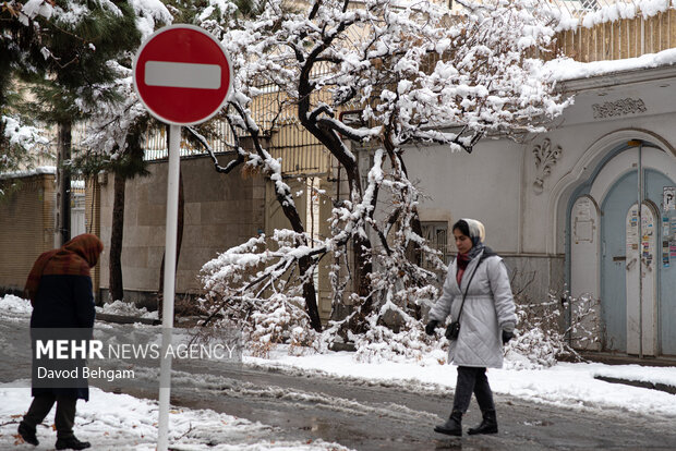 سفیدپوش شدن مشهد در آستانه یلدا
