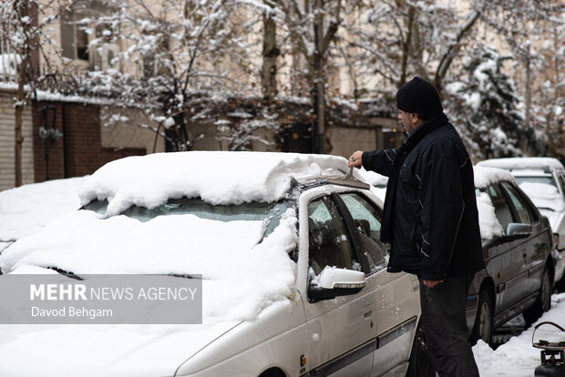 سفیدپوش شدن مشهد در آستانه یلدا