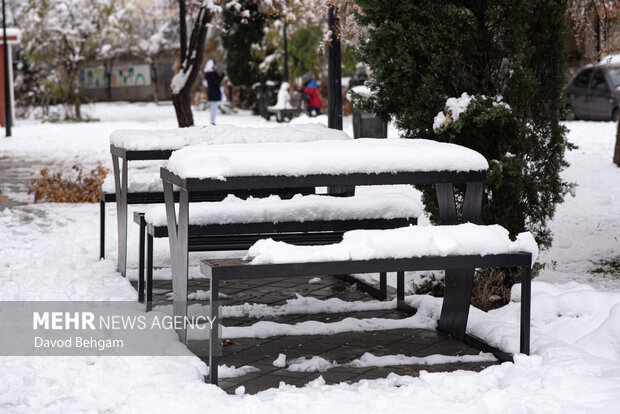 سفیدپوش شدن مشهد در آستانه یلدا