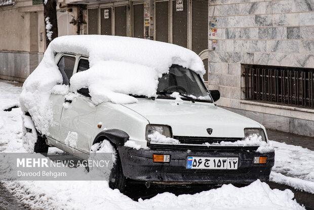 سفیدپوش شدن مشهد در آستانه یلدا