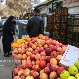 اسب افسارگسیخته گرانی در بازار یلدای خراسان شمالی تاخت