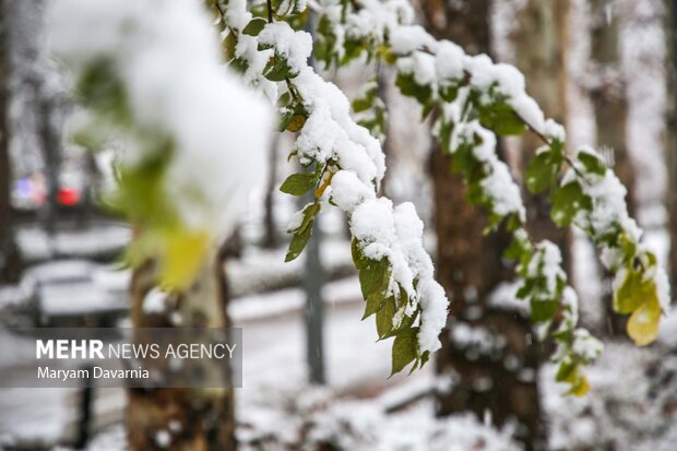 بارش برف در آخرین روز پاییز در بجنورد