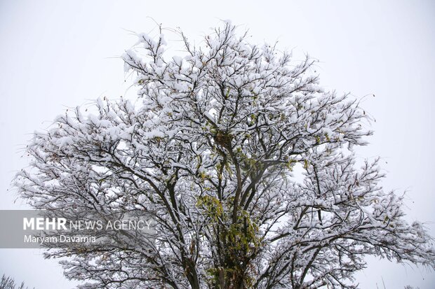 بارش برف در آخرین روز پاییز در بجنورد