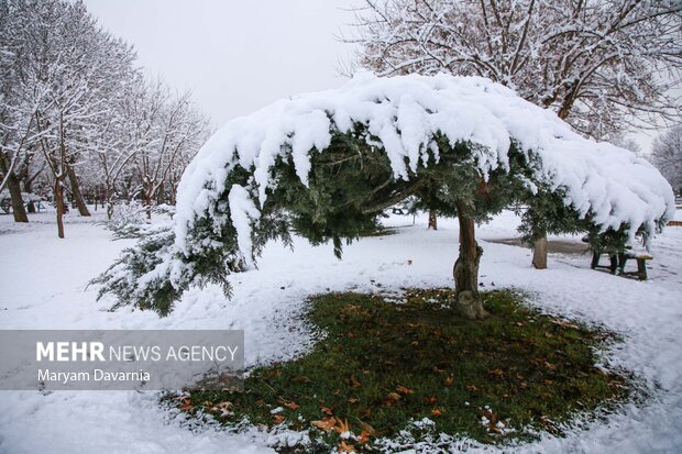 بارش برف در آخرین روز پاییز در بجنورد