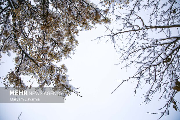 بارش برف در آخرین روز پاییز در بجنورد