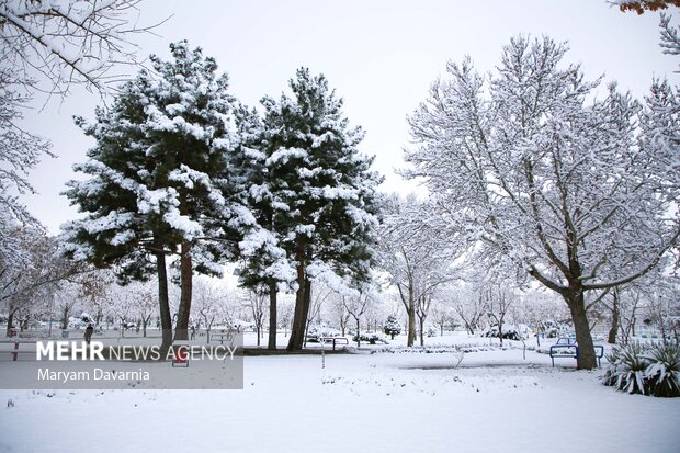 بارش برف در آخرین روز پاییز در بجنورد