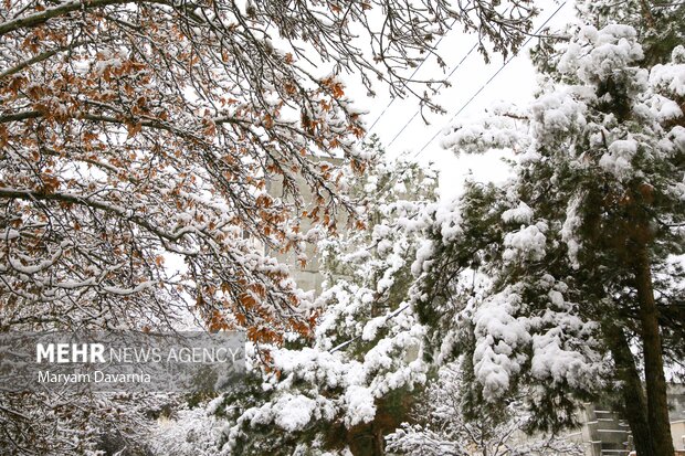 بارش برف در آخرین روز پاییز در بجنورد