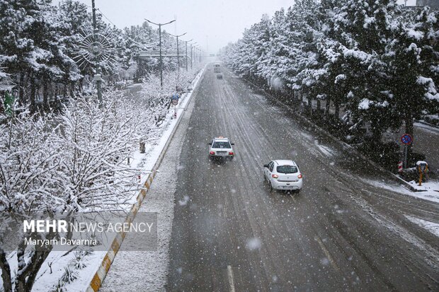 زاهدی: بارش برف ملایم و افت شدید دما در راه است