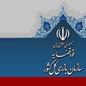 هشدار سازمان بازرسی درباره بازار برنج