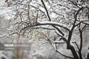 برف ۱۳ خانه‌روستایی در کوهسرخ را تخریب کرد