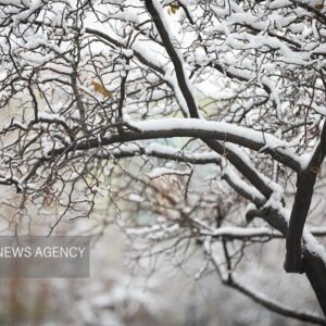 تهران درآستانه موج سرما؛ بارش برف و باران از امروز، افت دما از سه شنبه