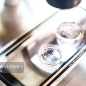 ۲۷ هزار نفر از زوجین نابارور مازندران در سامانه ثبت نام کردند