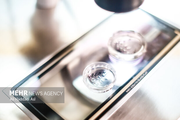 ۲۷ هزار نفر از زوجین نابارور مازندران در سامانه ثبت نام کردند