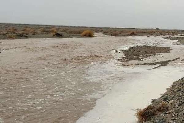 تلاش بی‌وقفه هلال احمر برای یافتن ۳ مفقودی در سیلاب «سرپری» کهگیلویه