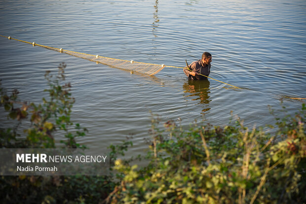 آب بندان‌های پرورش ماهی آزادشهر