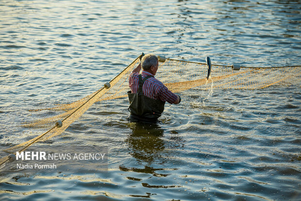 آب بندان‌های پرورش ماهی آزادشهر