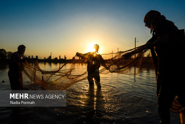 آب بندان‌های پرورش ماهی آزادشهر