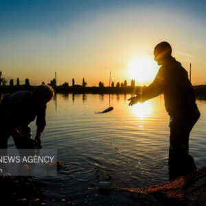 آب بندان‌های پرورش ماهی آزادشهر