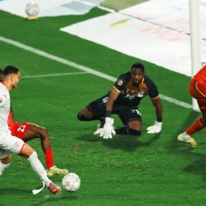 پیروزی نیجریه و تونس مقابل حریفان در جام ملت های آفریقا + جدول