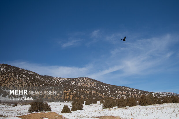 برف در ارتفاعات گلستان