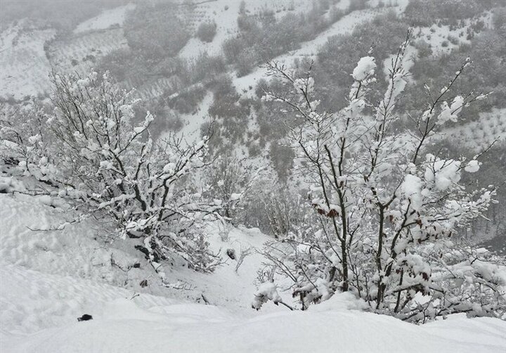 هشدار هواشناسی خراسان جنوبی؛ برف و یخبندان در راه است