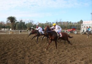 قهرمانان هفته هفتم اسبدوانی گنبدکاووس معرفی شدند