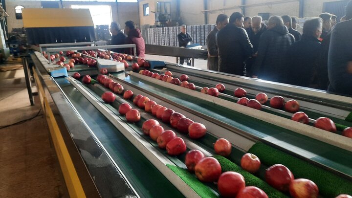 واحد سردخانه، سورتینگ و بسته بندی اشنویه افتتاح شد