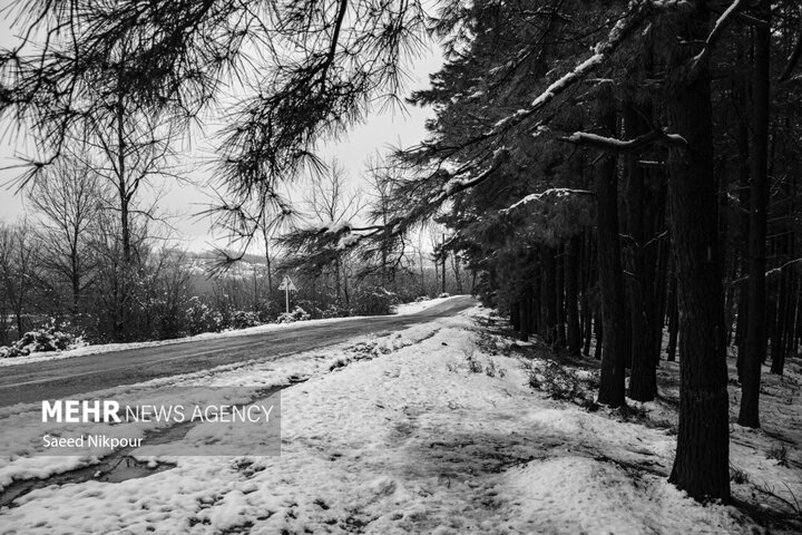 باد شدید و بارش برف مهمان آخر هفته همدان
