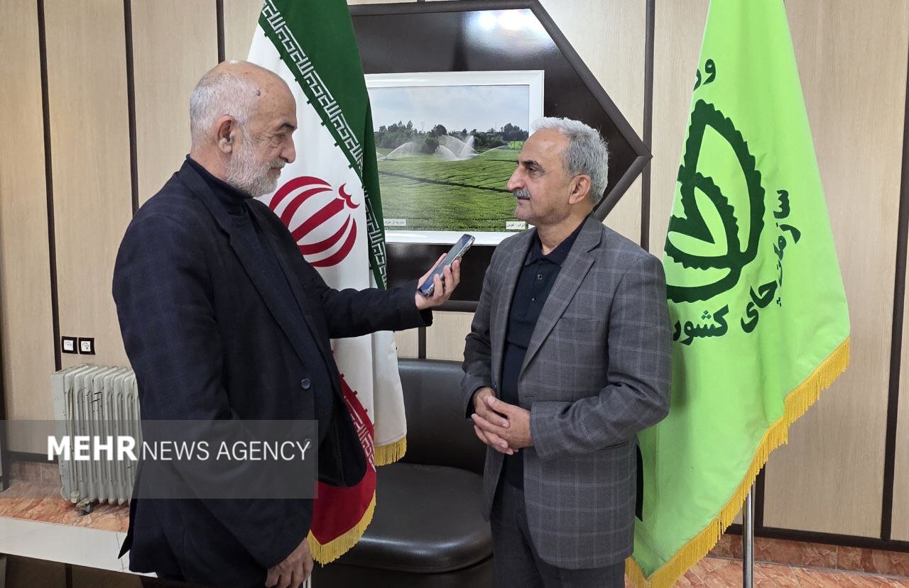 پایان پرونده چای سنواتی؛ ۳۱ هزار تُن از انبارهای تهران خارج شد