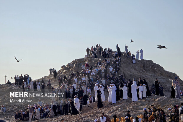 کاروان عمره دانشگاهیان