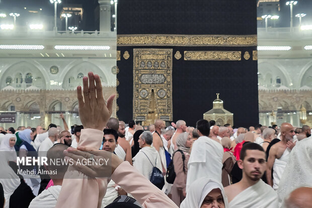 کاروان عمره دانشگاهیان