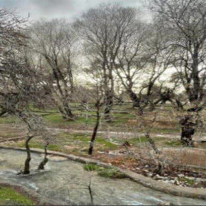 «چشمه قدمگاه» در فارس به عنوان اثر طبیعی ملی ثبت شد