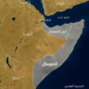 وزیر خارجه سومالی: تصمیم اسرائیل برای «سومالی‌لند» باید فورا لغو شود