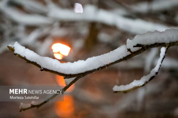 بارش برف در شهرکرد