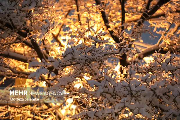 بارش برف در شهرکرد