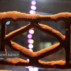 بارش برف شهرستان دالاهو را سفیدپوش کرد