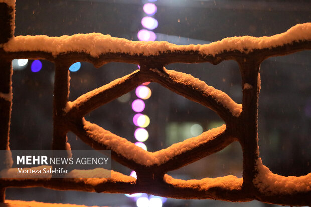 بارش برف شهرستان دالاهو را سفیدپوش کرد