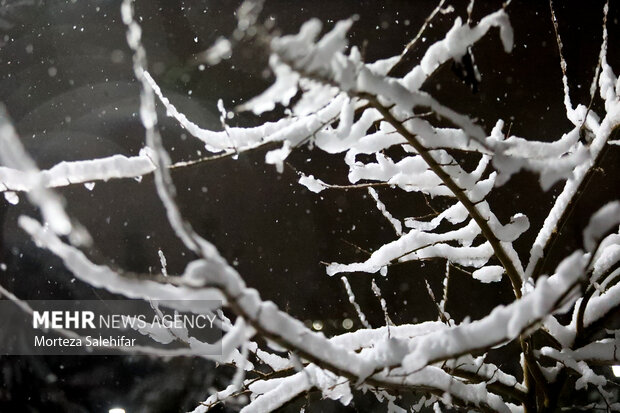 بارش برف در شهرکرد