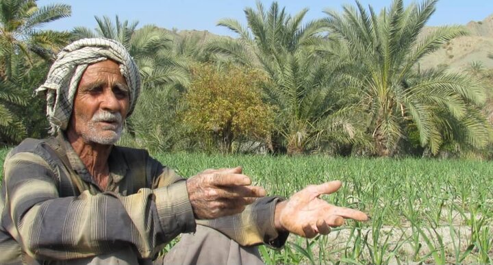 اهمیت سازههای آبخیزداری در بشاگرد؛ از کنترل سیلاب تا رونق کشاورزی