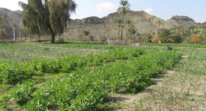 اهمیت سازههای آبخیزداری در بشاگرد؛ از کنترل سیلاب تا رونق کشاورزی