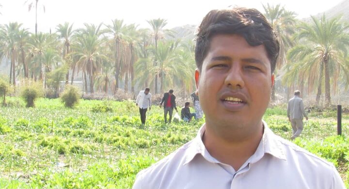 اهمیت سازههای آبخیزداری در بشاگرد؛ از کنترل سیلاب تا رونق کشاورزی