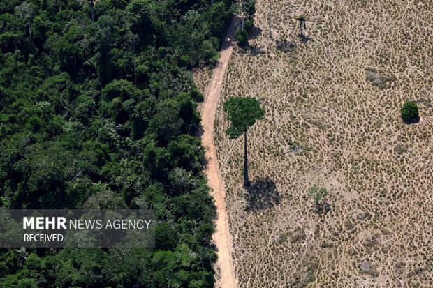 منتخب برترین عکس های مناظر طبیعی در سال ۲۰۲۵