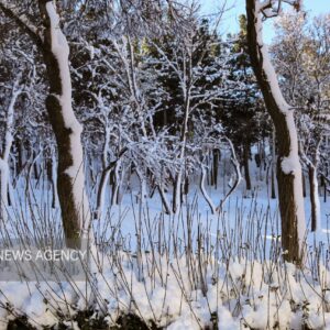 برف و یخبندان در مرکز دلفان