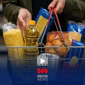 مهاجرانی: سبد کالا و اعتبار برای کنترل معیشت مردم نهایی می‌شود